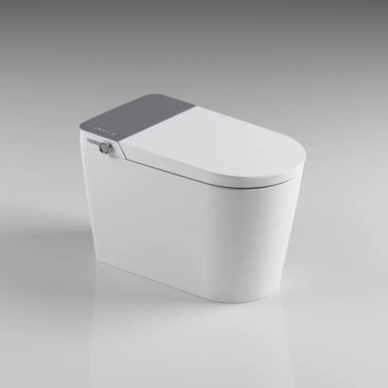 Bathroom Dual User Defined Luxury Intelligent Bidet With Display Screen Enema Cleanse Smart Toilet