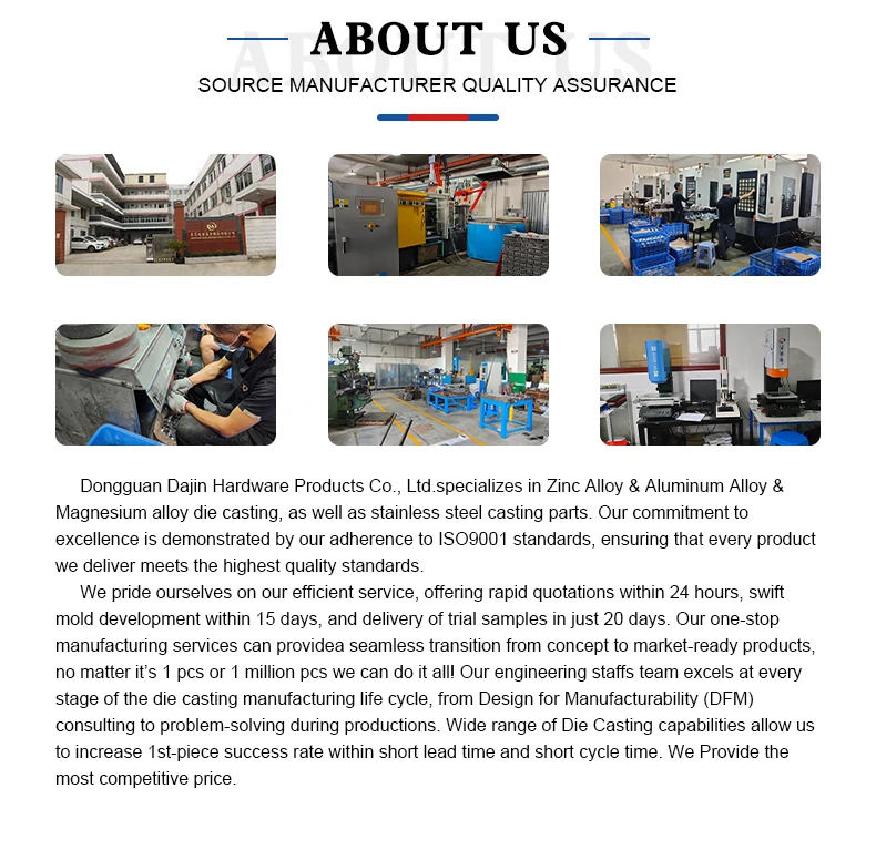 Custom Automatic OEM Powder Coating Chrome Plating Precision Zinc Alloy  Aluminum Die Casting Service