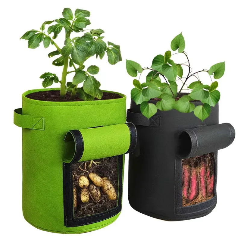 Custom modern 10gallon potato thick green nonwoven fabric pot plant grow bag with reinforced handle for tomato vegetable fruit