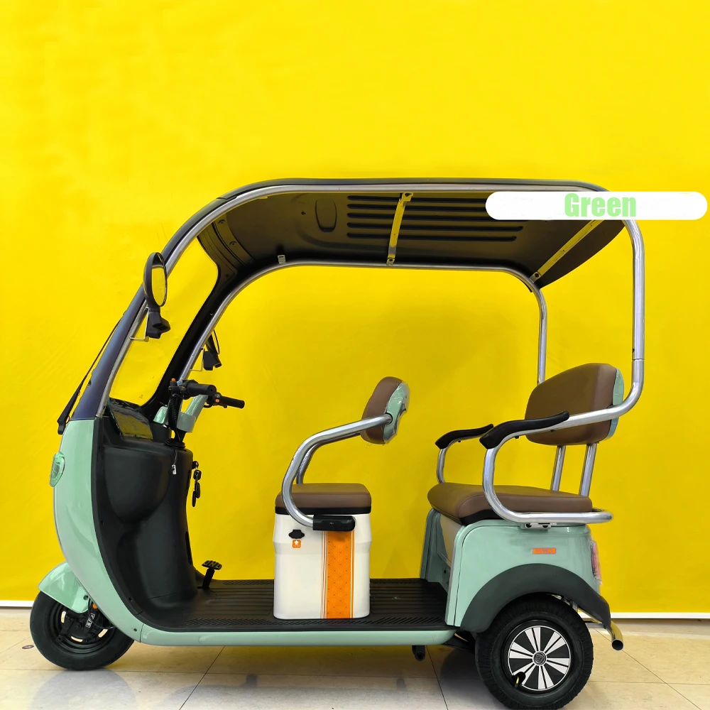 Wholesale 800W 3 Wheel Electric Tricycle Bike Family Use E Trike Electric Tricycle With Cover