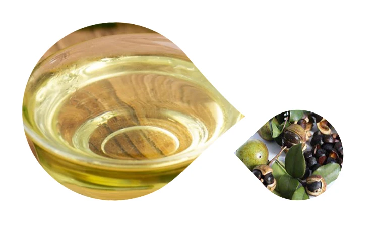 
Click Manufacturer From China Nature And Safe Baby Skin Care Massage Camellia Japonica Oil Facial Care Essential 