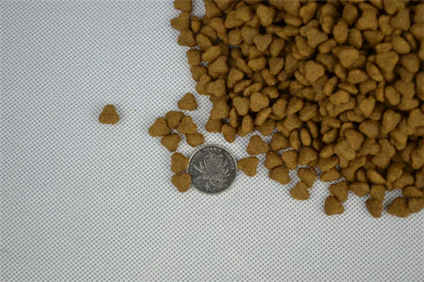 small dogs bulk dog food