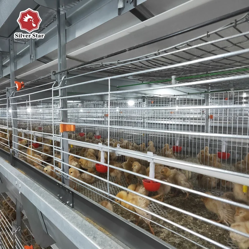 China good quality q235 steel galvanized wire mesh use for chicken birds poultry battery broiler cage