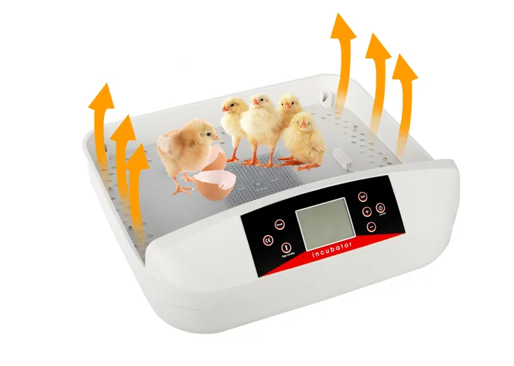 42-Egg Practical Fully Automatic Poultry Incubator with Egg Candler US Standard Yellow & & White & Transparent