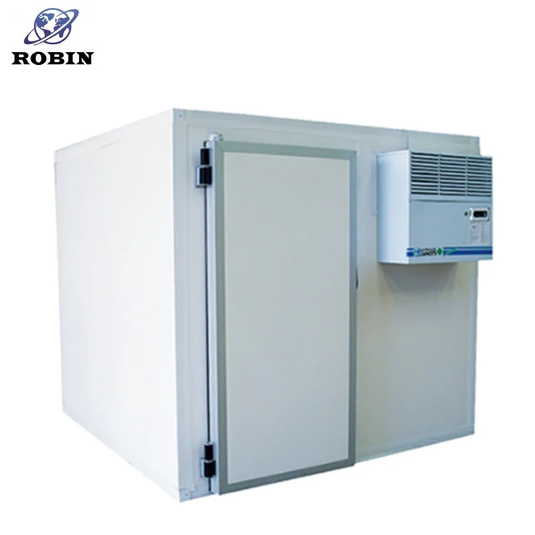 100 mm insulating plate air cooling cold room frozen cold room for meat and fish