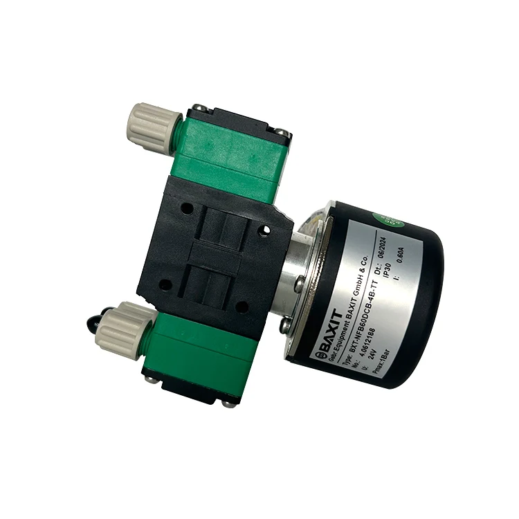 DC pump 12V/24v electric diaphragm pump car wash Marine