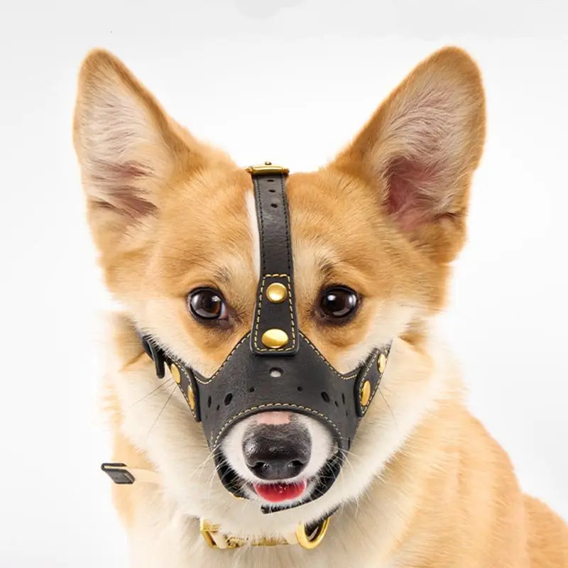 WAKYTU C140 Prevent Biting Leather Dog Mouth Muzzle For Small Breeds Dogs Mini Dachshund Maltese Jack Russel Terrier Schnoodle