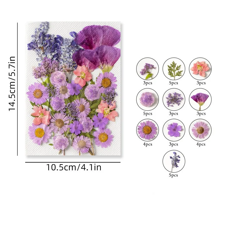 Pressed Preserved Dry Natural Plants Petals Dry Leaves Specimen Dried Flower for Candle Nails Resin