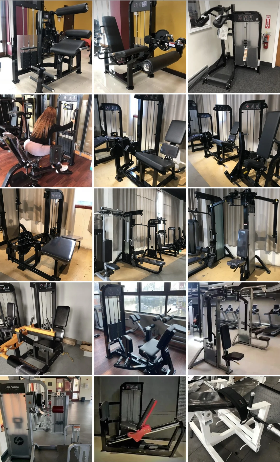 Commercial Home life fitness hammer seated back extension training Equipment Manufacturer wholesale hot sale fitness equipment