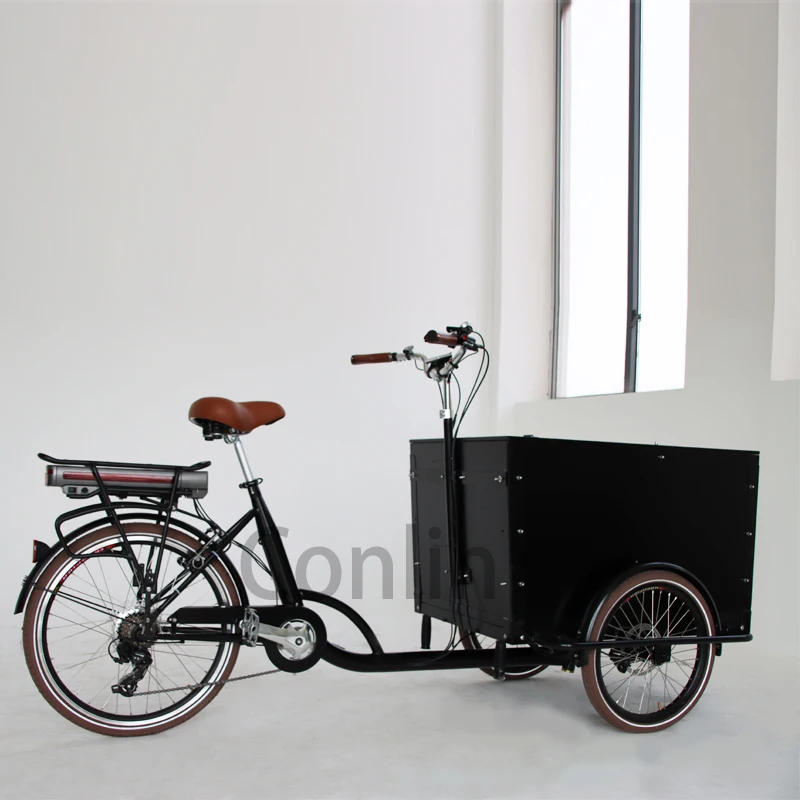 Commercial Closed Cabin Cargo Tricycle Bike Tricycle Family Cargo Bike China Bakfiets Electric Cargo Bike