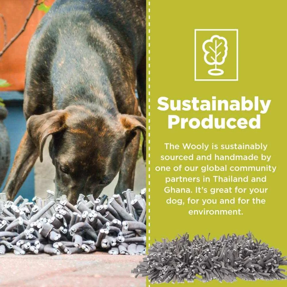 Drop Shipping Snuffle Mat for Dogs, Interactive Dog Toys Slow Feeding Mat Nose Work Mat for Dogs