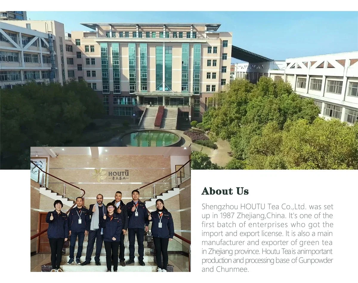 China Factory Price Green Tea Dried Sencha Style