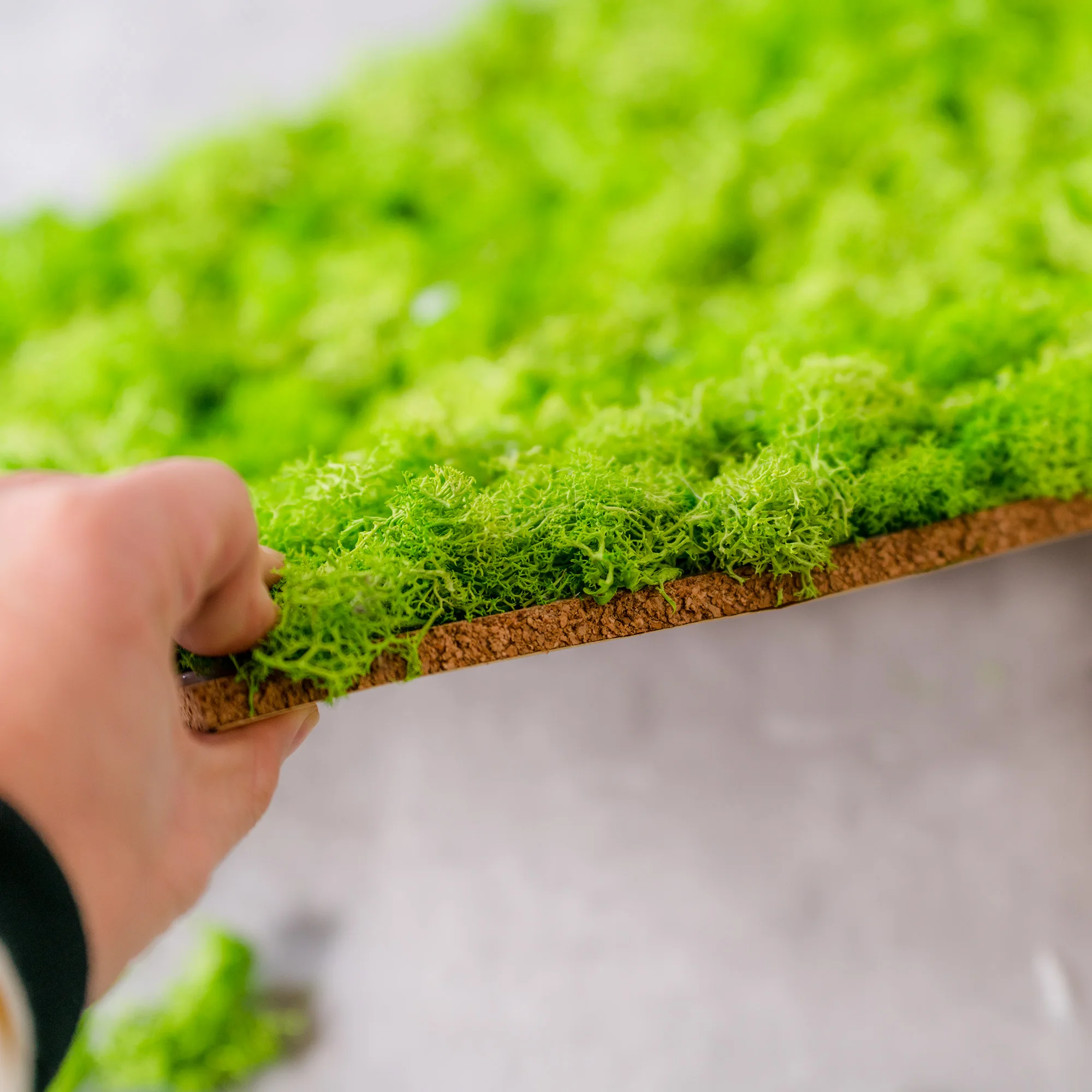 high quality Wall Art Moss Panel Decorations Tiles Architectural Factory Supply real Preserved flower Moss