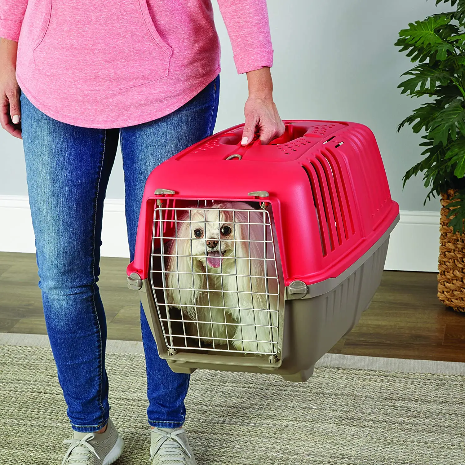 Hot Sale Reliable Pet Carrier for Cats Plastic Airline-approved Pet Carrier for Dogs