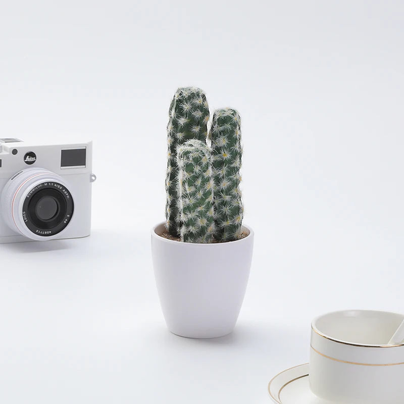 Potted Plants Living Room knick-knacks Desktop Green Plant Cactus Flower Simulation Succulent Decoration Interior Decoration