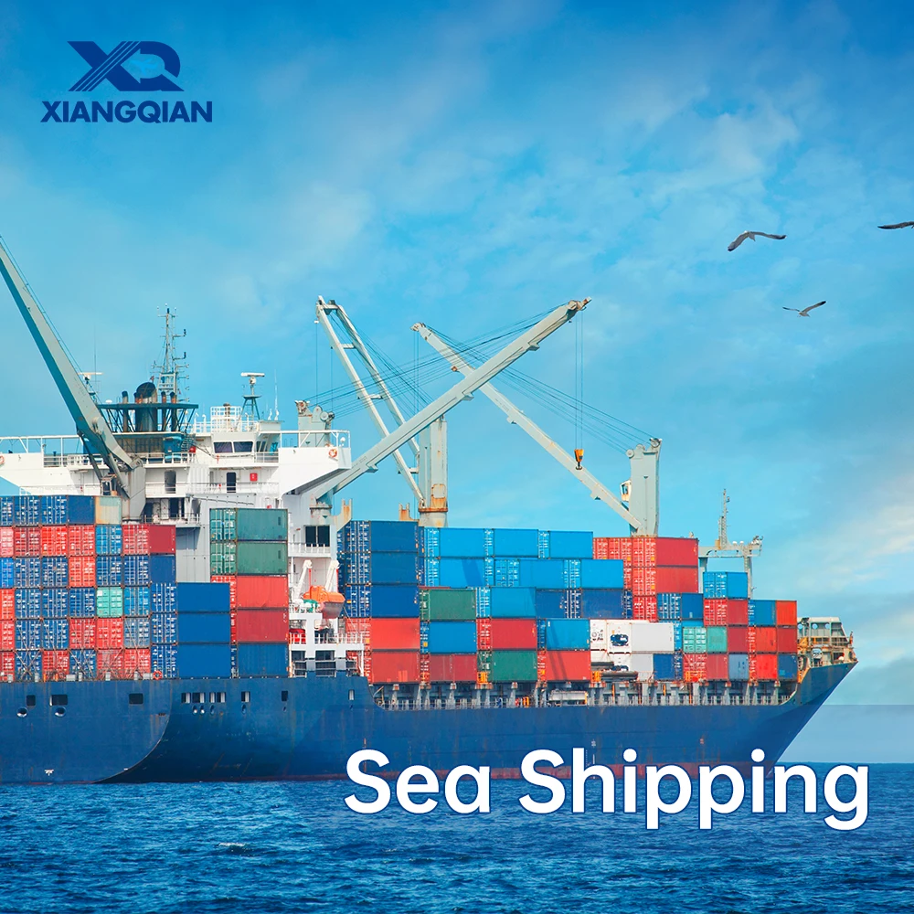 fast cargo freight from shanghai china to algeria mauritius douala cameroun zanzibar conakry sea shipping