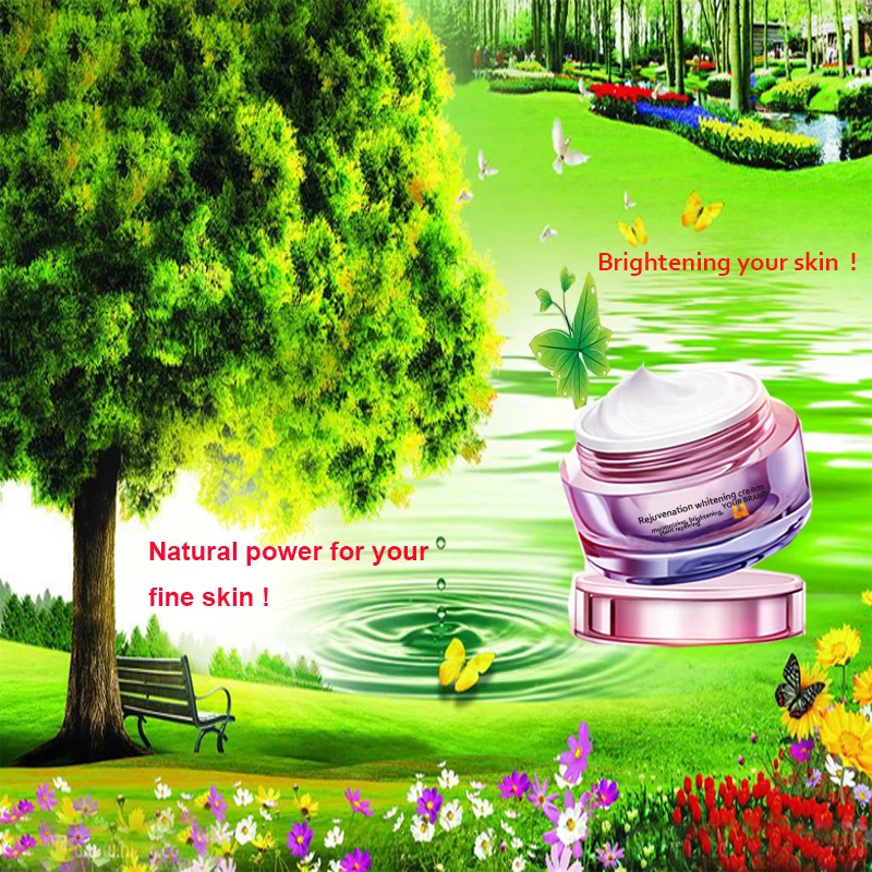 
Customizing natural plant face Use and GMP MSDS COA HALAL Certification brightening bb cream 