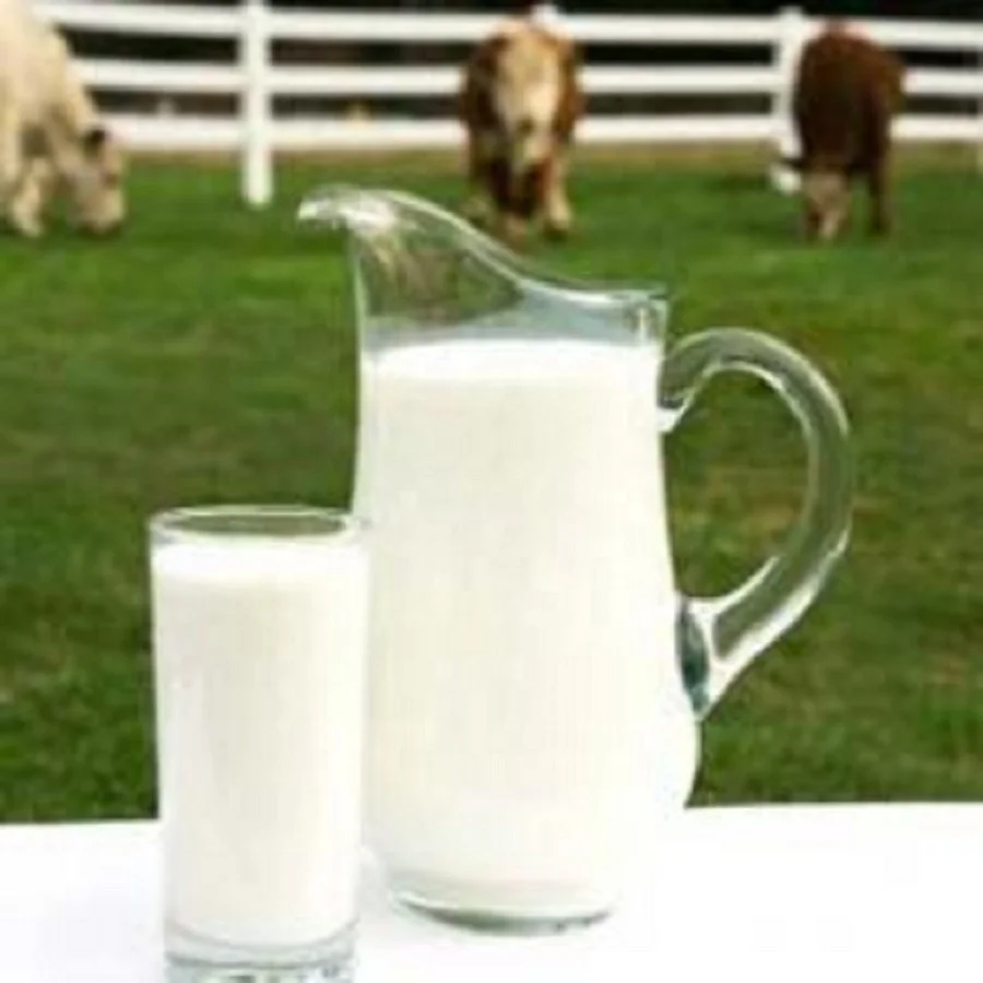 Cow-Milk2.jpg