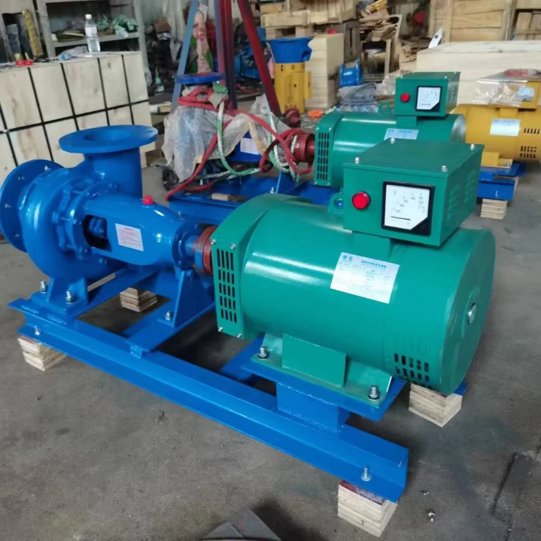 Hydro Francis Turbine and Generator