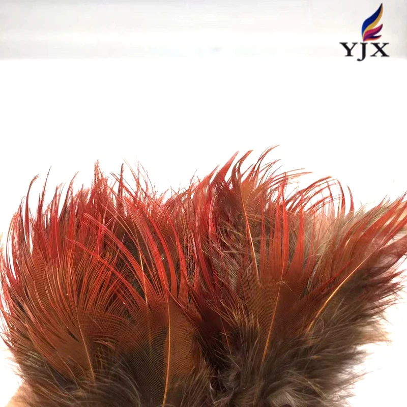 Wholesale  Natural  Color  Golden Pheasant Feathers    Pheasant Plumage  Feathers