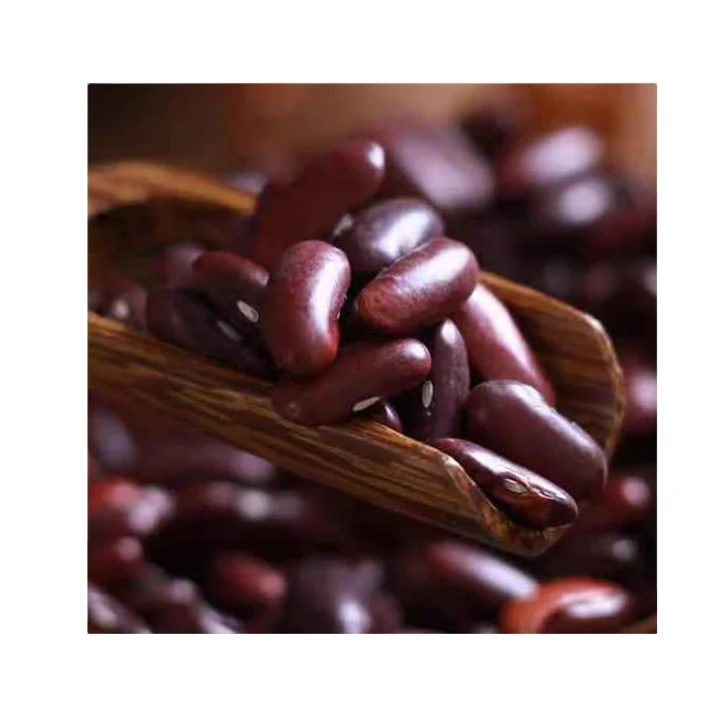 
Yunnan red kidney beans for canned high quality long shape purple kidney bean 
