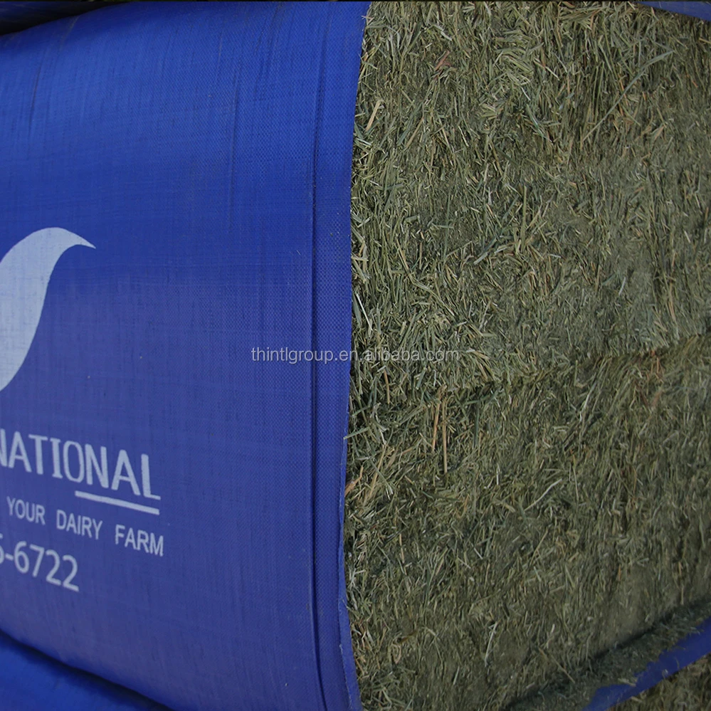
Alfalfa lucerne hay for feeding farm animals 