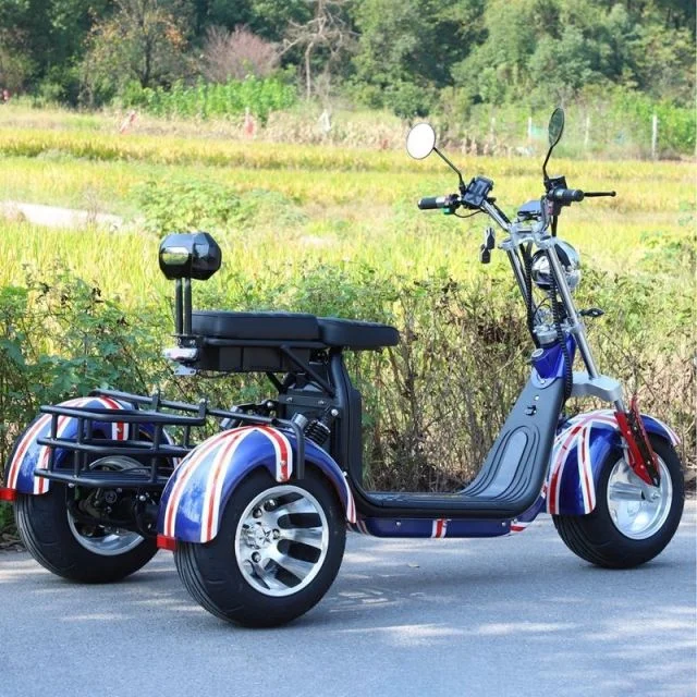 Прямая Продажа с китайского завода 3-колесный Электрический трехколесный велосипед для взрослых