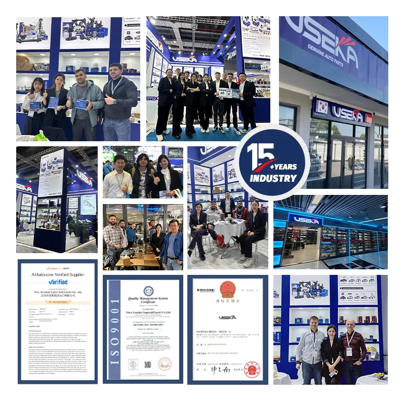 USEKA OEM 24100-42200 664841 24100 42200 MD302333 CAM734 Adracing Factory Auto Parts High Quality Camshaft For Mitsubishi