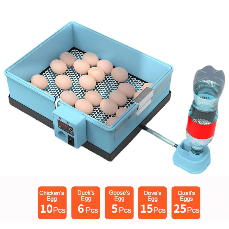 10-25 Pcs Dual Power Supply Eggs Brooder Chicken Fully Automatic Farm Bird Quail Incubator Hatchery Eggs Incubator