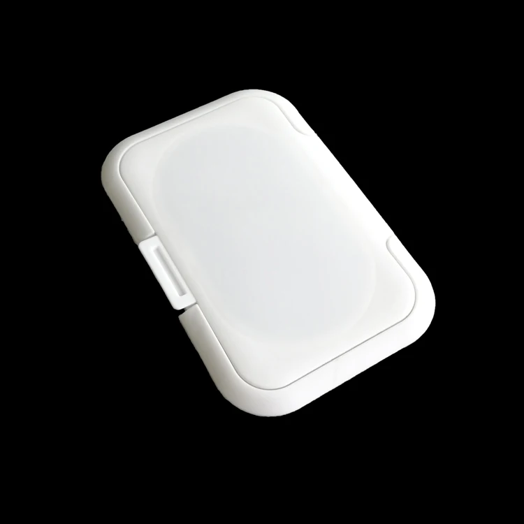 Private Label Portable Biodegradable Soft Baby Wipe Bags Travel pp Case