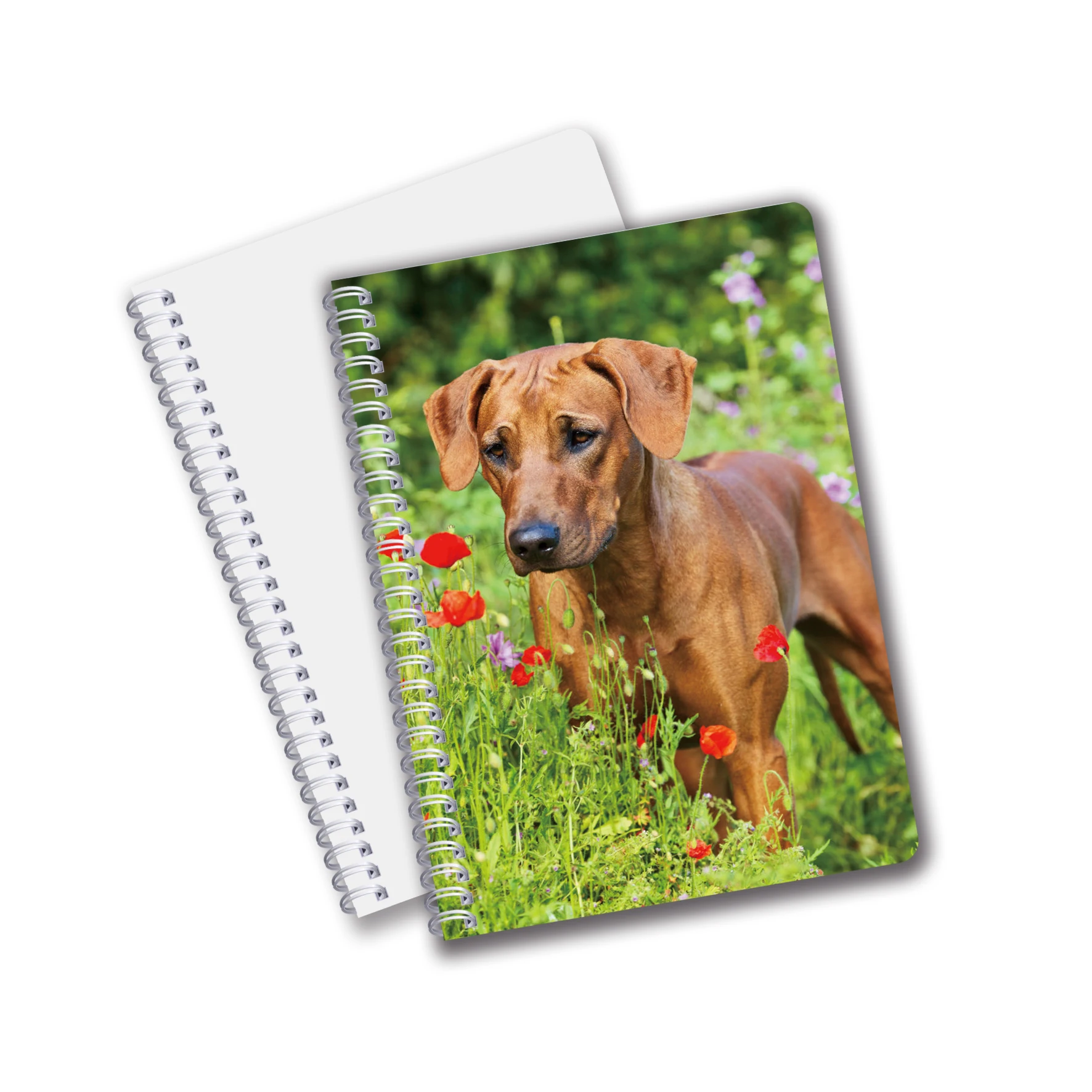 PET / PP Jotter 3D Lenticular Notebook A5/A6 Size UV Printing for School