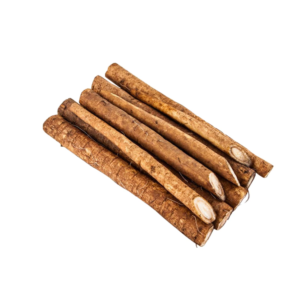 chinese fresh burdock root