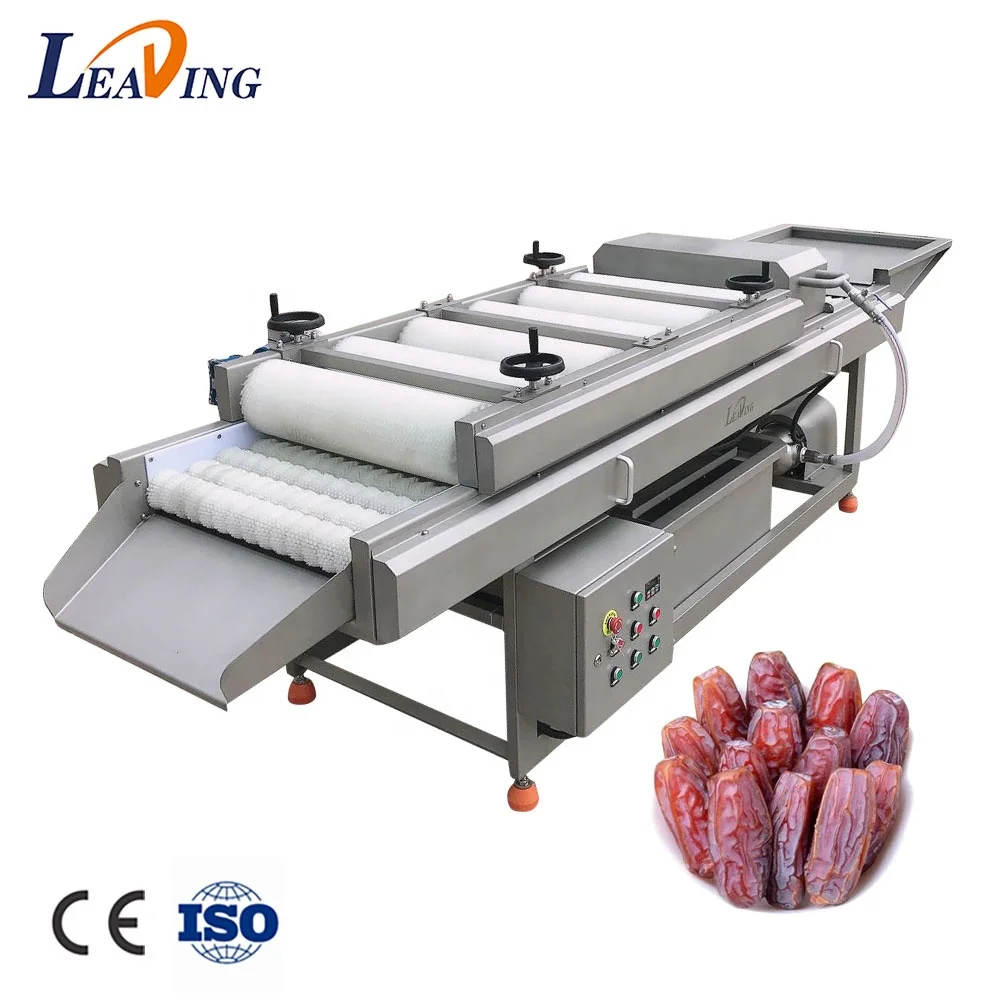 Manufacturers Price Industrial Dry Palm Washer Washing Processing Fresh Dates Cleaning Machine