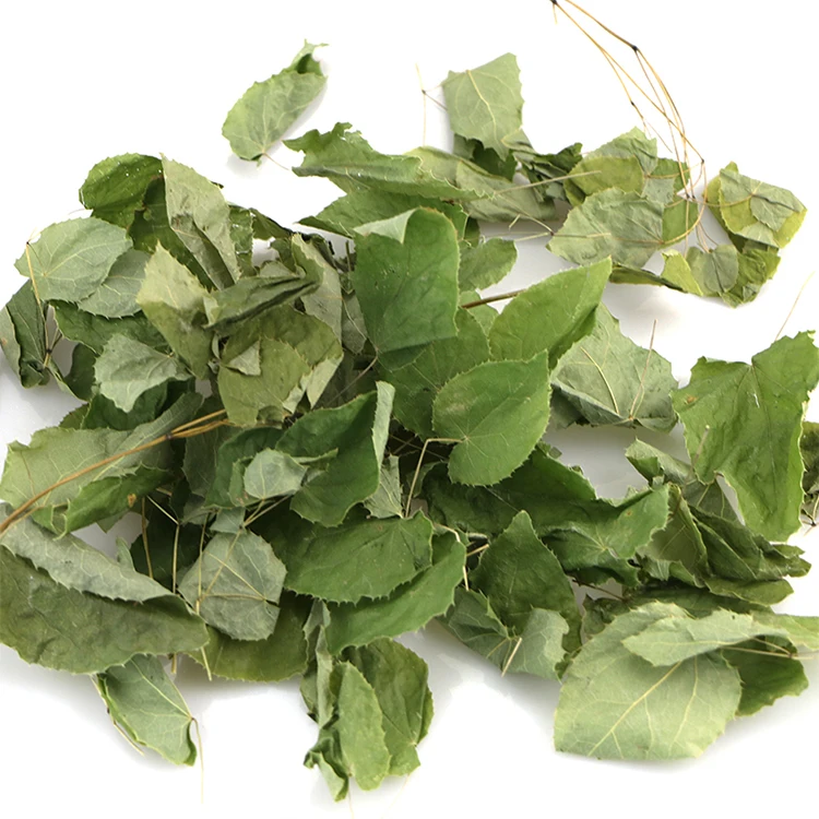 
organic medicinal herbs epimedium icarin pure herbal epimedium 