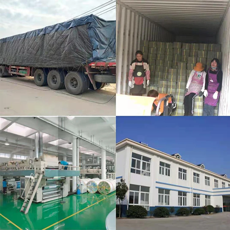 Wholesale price sticky mouse board glue mouse trap mouse killer Sizes can be customized