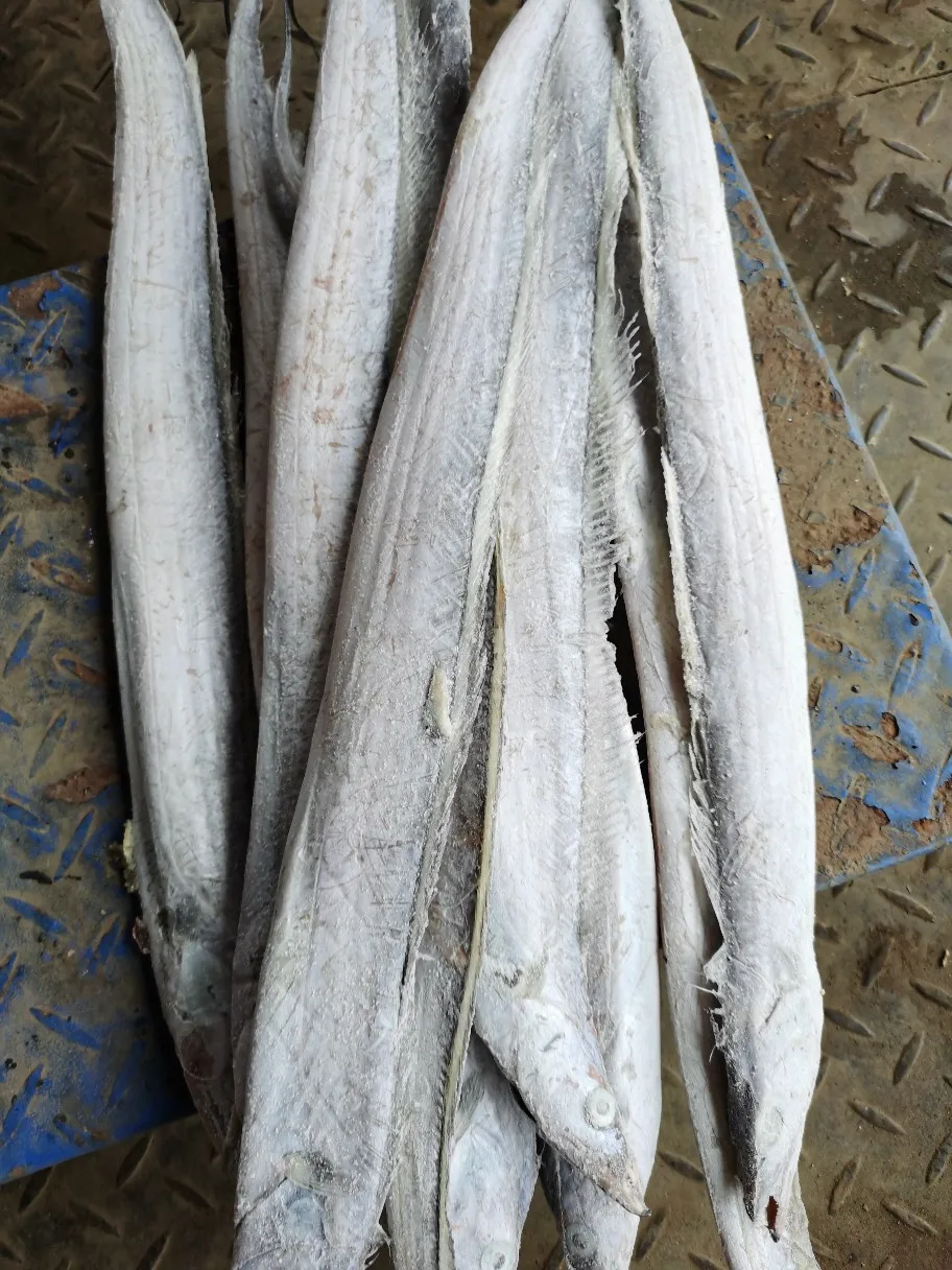 China High Quality salted Dried Largehead Hairtail Fish/Dried Ribbon Fish Delicious Seafood