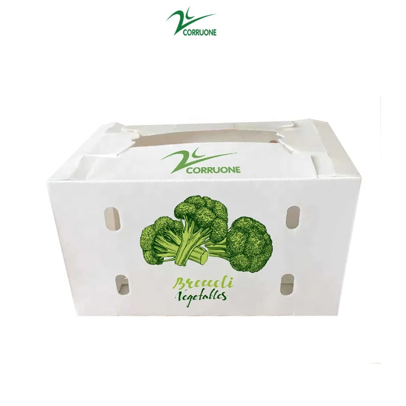 Factory Price corn container and Broccoli box Vegetables boxes and  Vegetables plastic Packaging Box and caja de plastico