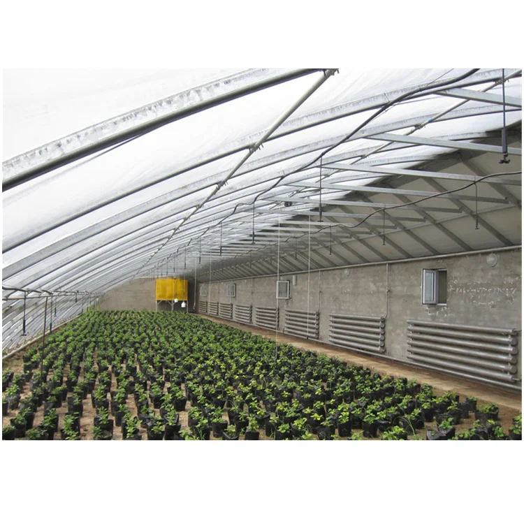 Skyplant Passive Solar Greenhouse Low Cost Passive in-solar greenhouses