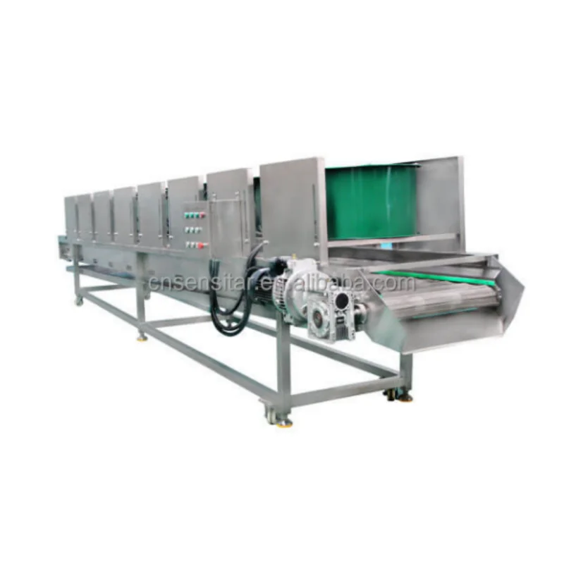 High performance automatic 200 kg/h 500 kg/h commercial banana chips processing equipment banana chips production line
