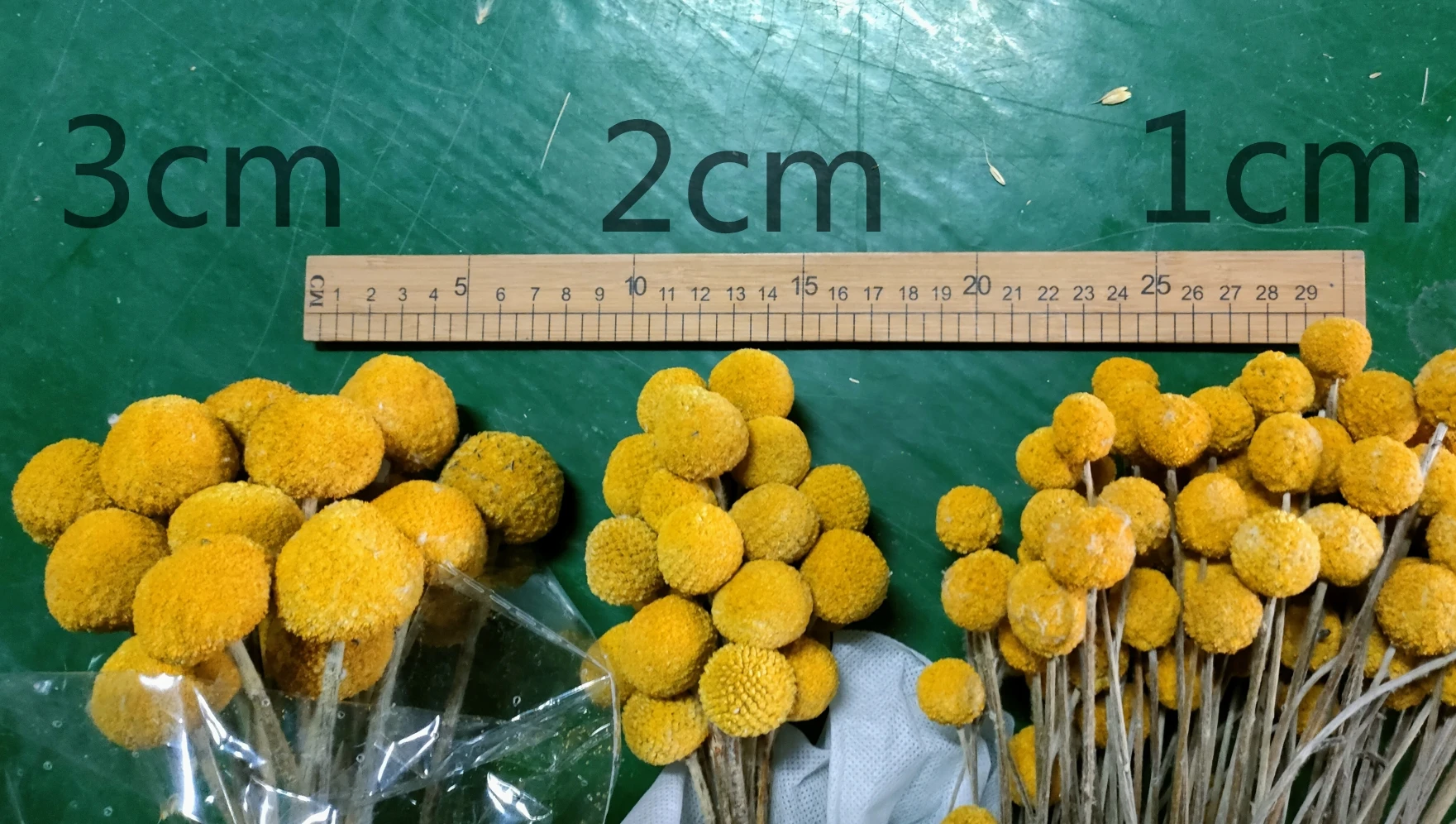 three size.jpg