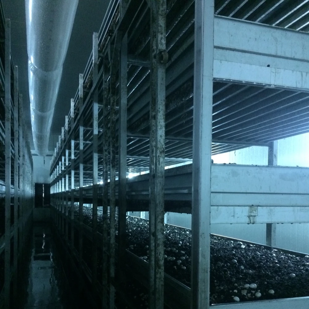 HOT SALE!!Mushroom Growing NETS/Mushroom greenhouse modern farm/Mushroom Growing racks