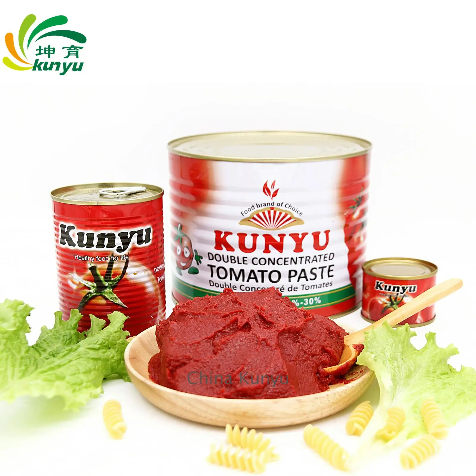 Best Quality All size canned tomato paste tinned tomato paste in easy open canned