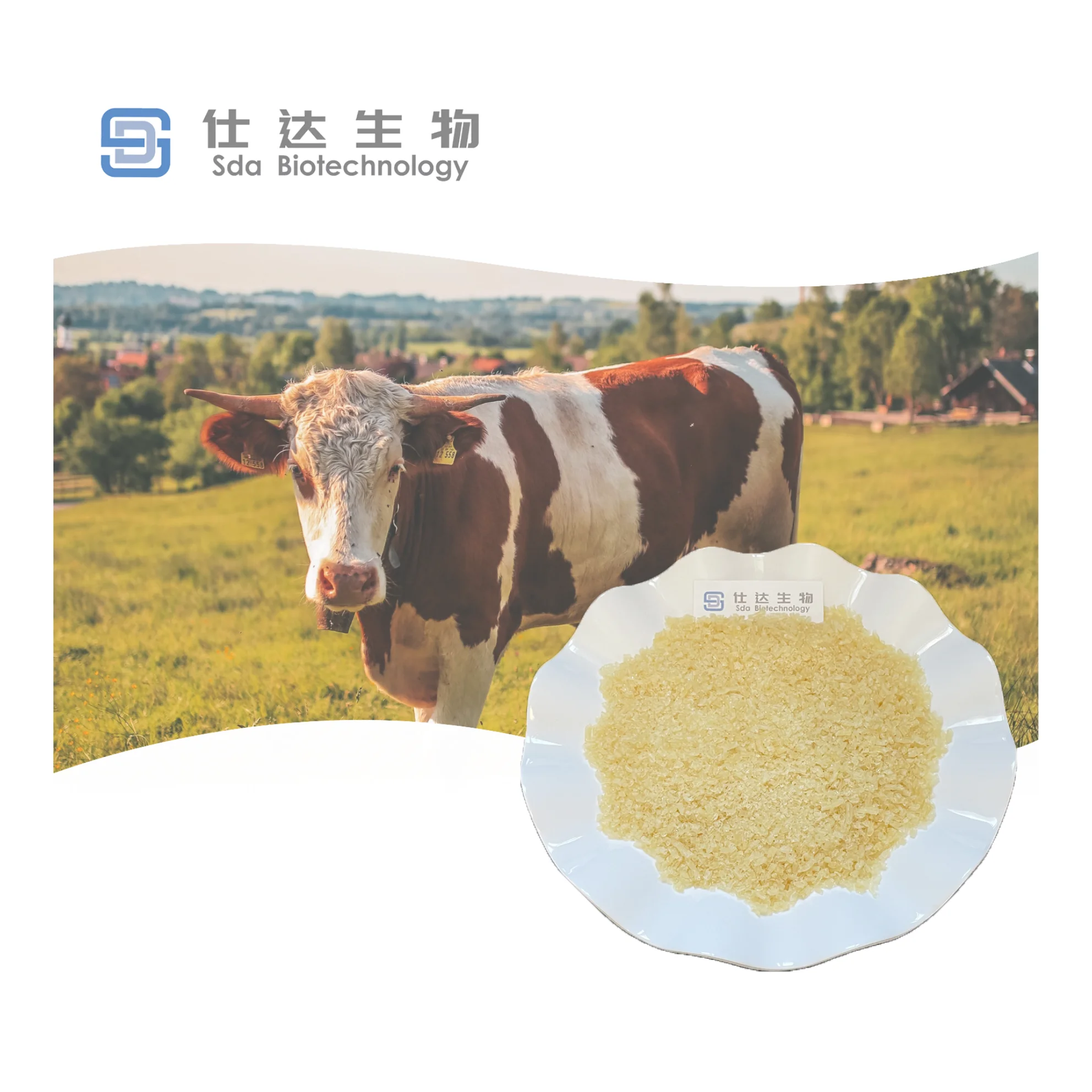 Factory Price Hot Selling Gelatin Stable Emulsification Makes Beverages More Even And Delicate Gelatin Powder In Bulk