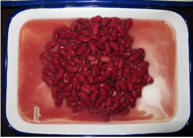 Chinese canned dark red kidney beans in brine with high quality