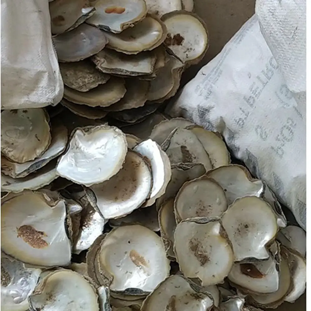 9-12cm Raw Materials Yellow MOP In Stock  Factory Price Natural Washed Yellow Mother Of Pearl