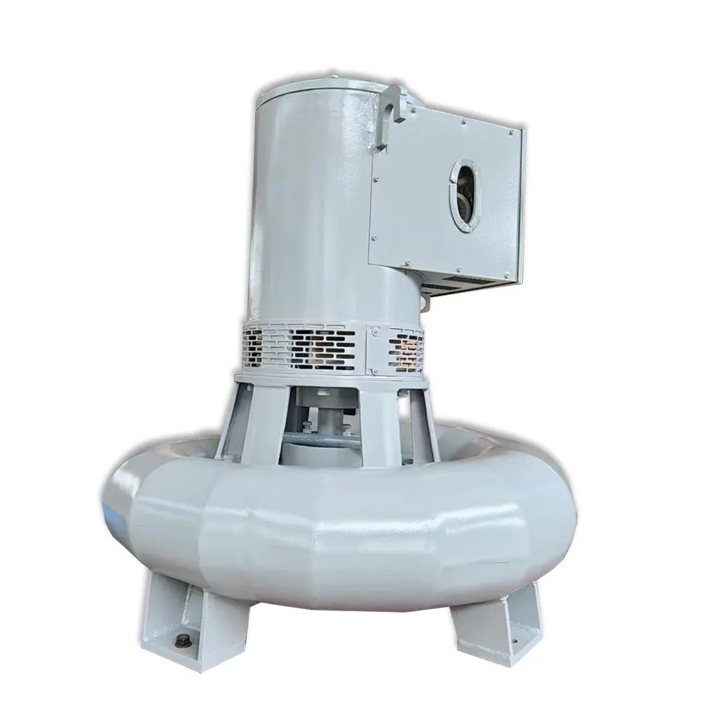 Vertical Type 50kw 75kw 90kw Francis Hydro Turbine Generator