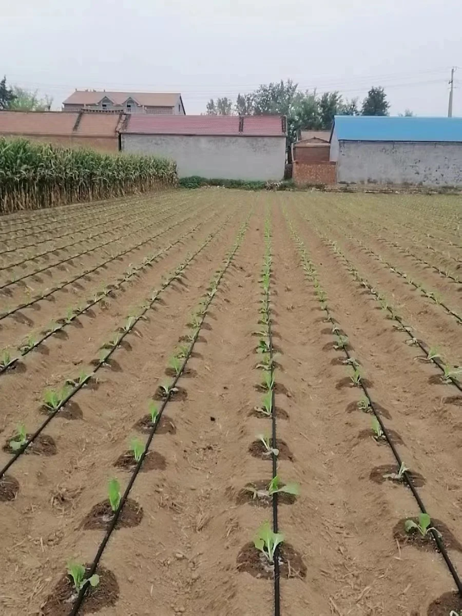 Drip irrigation system drip hose drip line for agricultural farms irrigation pipes