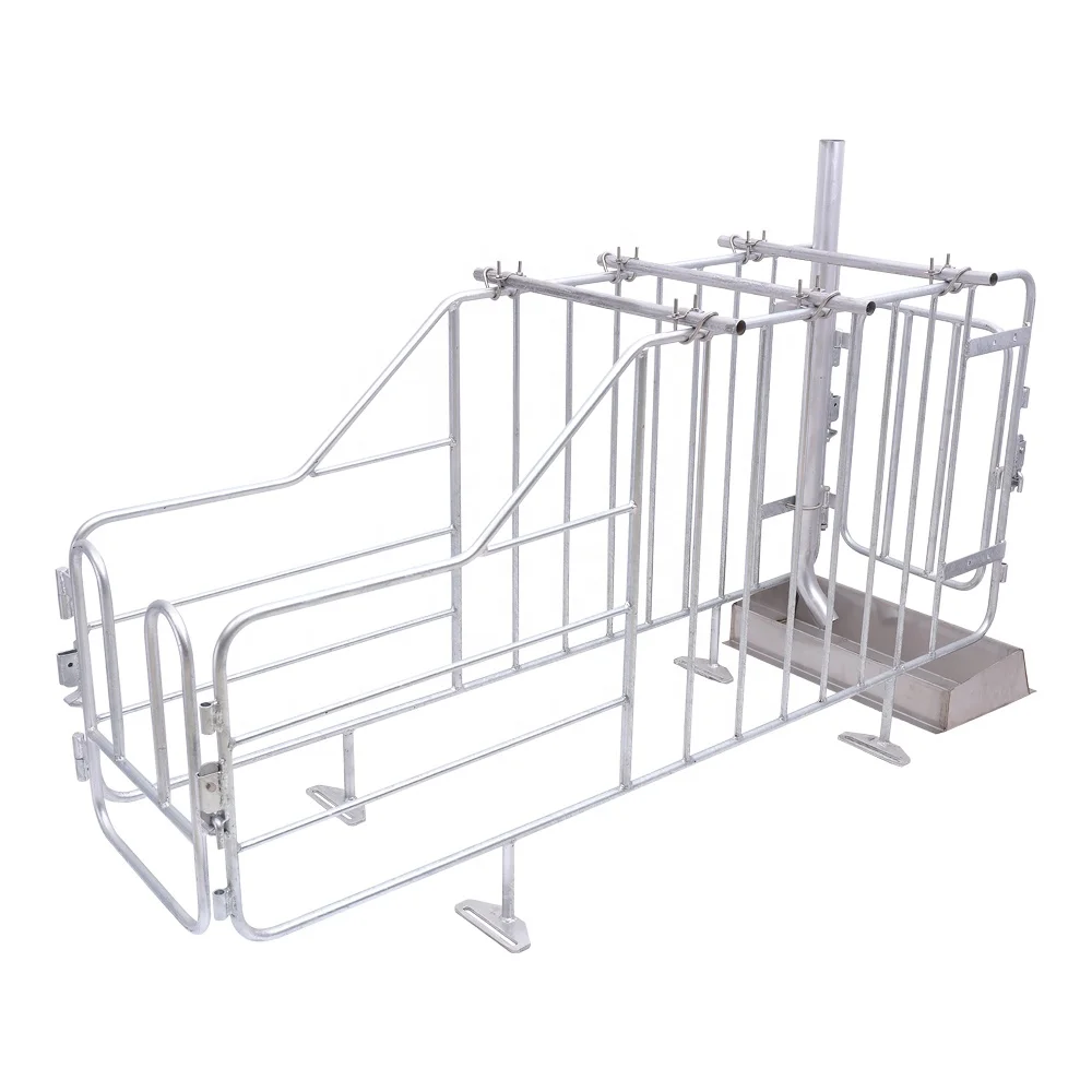 Galvanized pig swine sow gestation farrowing pig stall