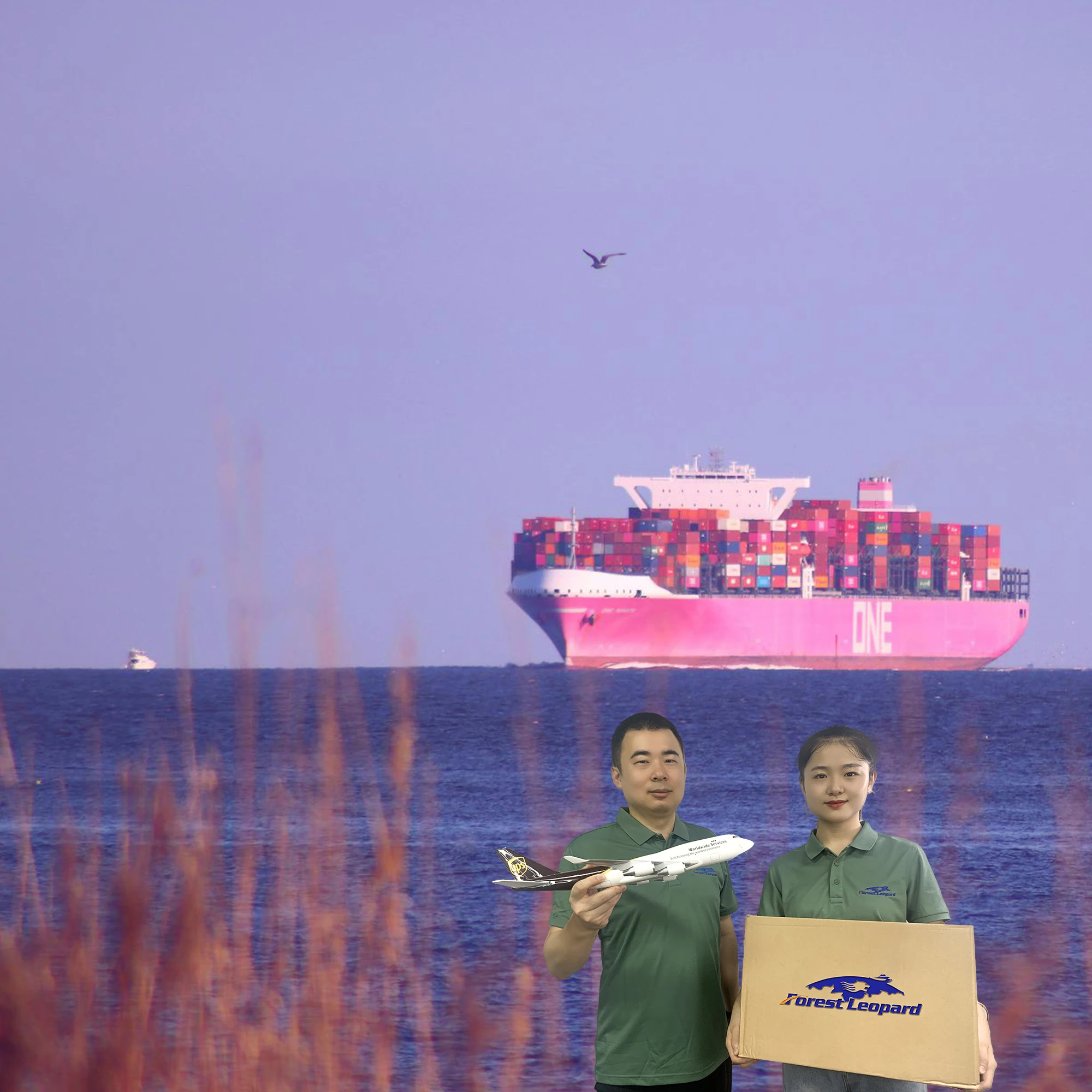 Cheap logistics freight forwarder agent cargo shipping charges service from China to USA UK PK Dubai Australia Malaysia