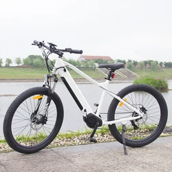 48V500W 750W mid drive motor Electric City Bike E-Bike Pedal Assisted Hidden Battery Electric Bicycle